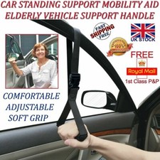 LTG Car Vehicle Standing