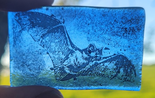Stained glass bat - bat, traditional