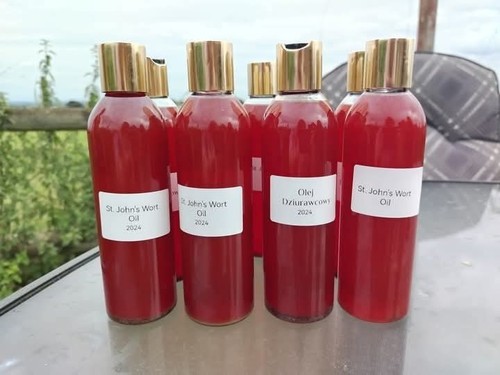 John wort oil - , john's