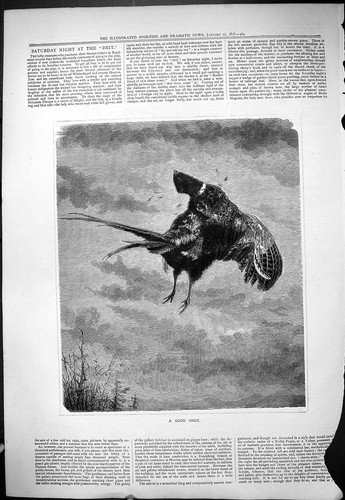 Original old antique - antique, print