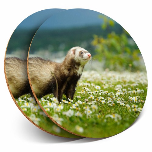 Coasters beautiful - x,