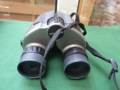 Olympus 25 zoom - x,