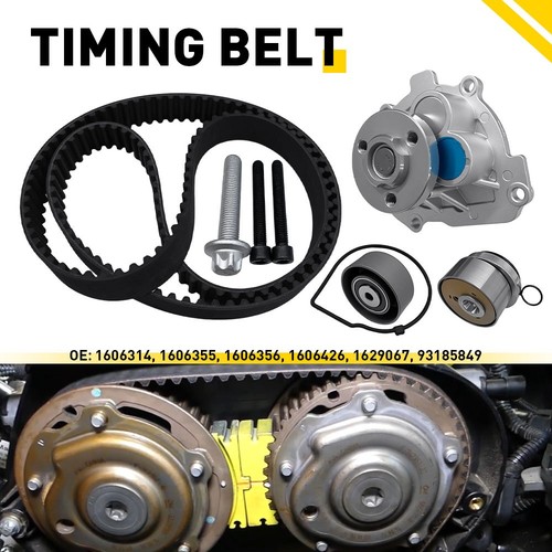 Cam belt kit with water - cam, pump
