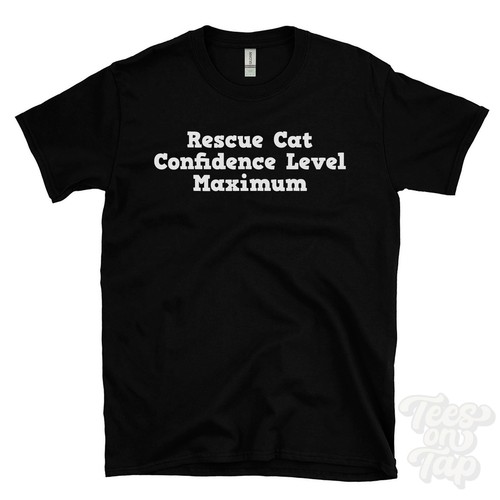Rescue cat confidence level - cat,