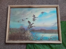Vinrage Art Print By J. C. Harrison "Mallard Rising From A Reed Bed"  FRAMED...