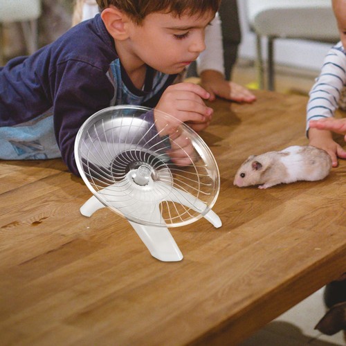 Hamster exercise toys - exercise,