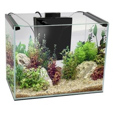 Aqua One 25L AquaLume Glass Aquarium Frameless Fish Tank 34x22x34cm 