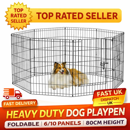 Dog puppy pnl - dog, 6-pnl