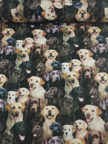 Labrador dogs 100 cotton - labrador,
