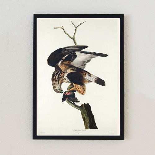 Vintage birds illustration - vintage,
