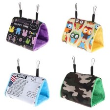 Pet Birds Parrot Parakeet