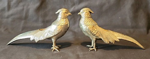 Silver plate pheasant bird - 2,