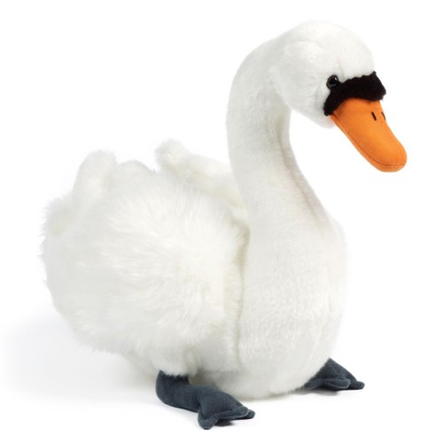 Living nature an380 swan - living,