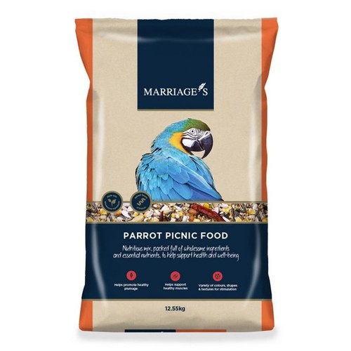 Marriage picnic parrot - marriage's, food
