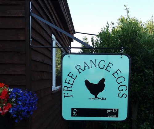 Swinging sign for shops and - sign,