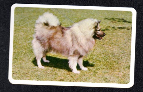 Golden fleece swap card - ,