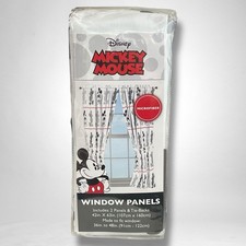 Disney Mickey Mouse Window