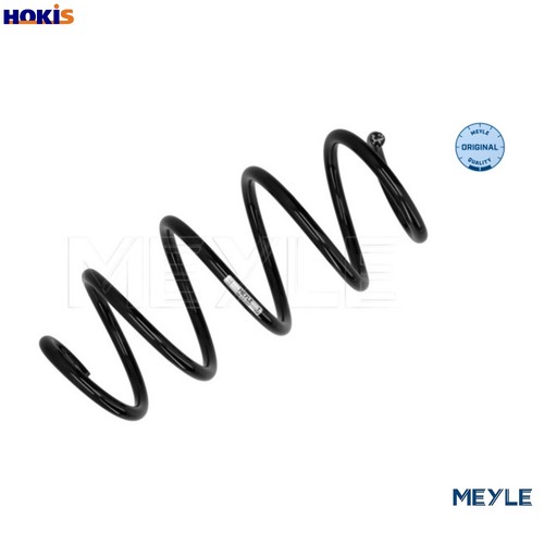 Suspension spring 100 - 100, 0065