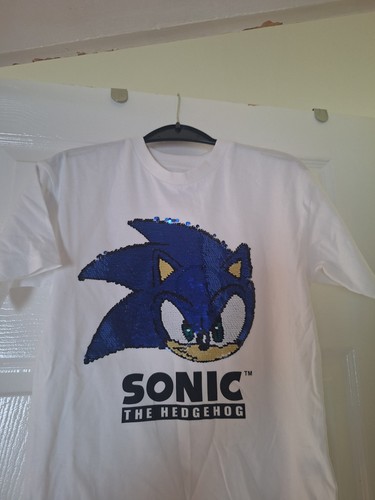Next sonic the - the, hedgehog
