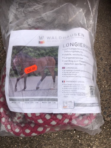 New lunging aid full - lunging,