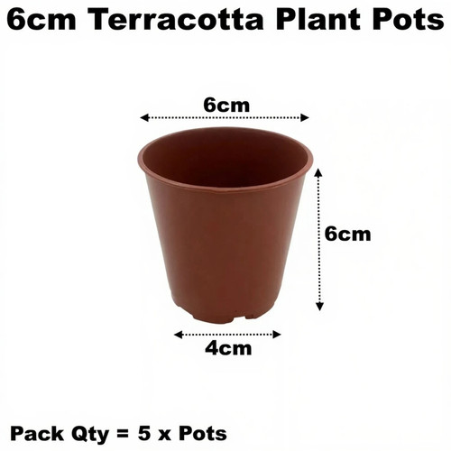 6cm plant pots plastic - 6cm,