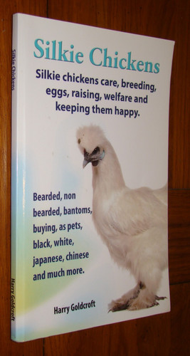 Silkie chickens care breeding - chickens,