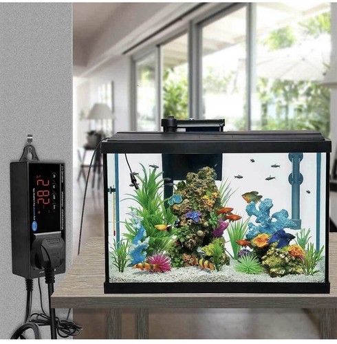 Reptile digital temperature - reptile,