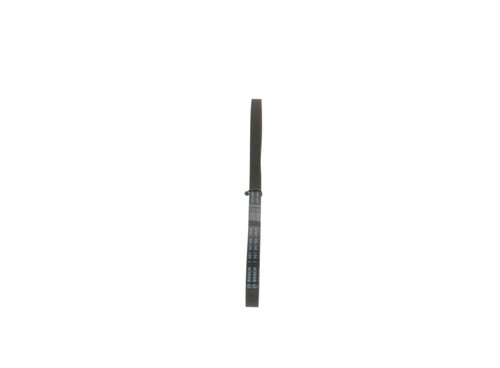 Bosch ribbed belt for nissan - belt,