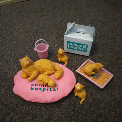 Rspca animal hospital - rspca, kitty