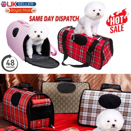 Pet dog cat - pet, puppy