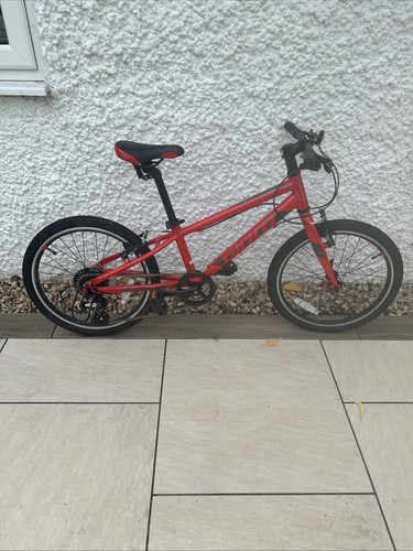 Giant arx kids bike - giant,