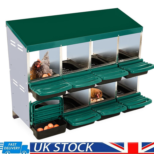 Hole chicken coops - chicken,