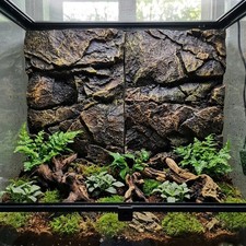 Rock aquarium background - rock,
