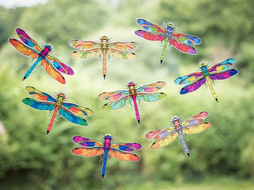 Dragonfly double sided static - dragonfly,