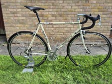 Winter Road Bike ROBERTS