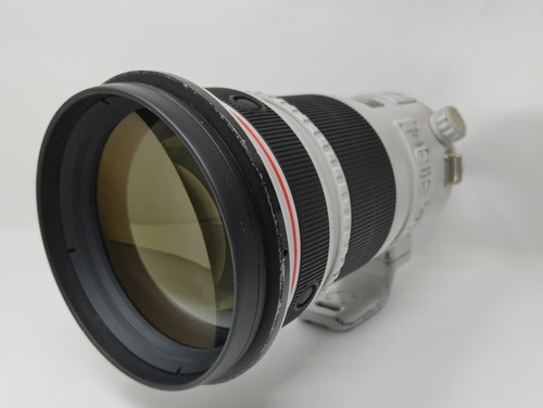 Canon 300mm l - ef, f/2.8