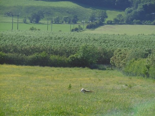 Photo 6x4 near barmuck - photo,