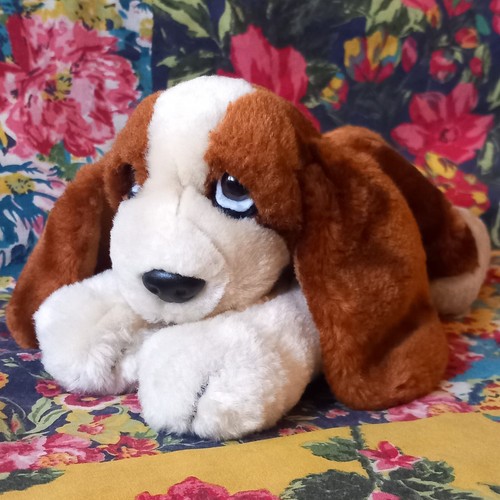 Animal alley basset - animal,