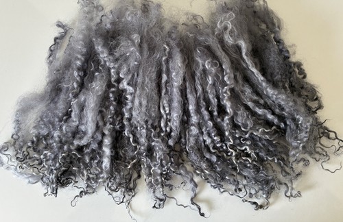50gm teeswater long dark - ,