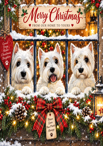 Three adorable westies a5 - three, westies,