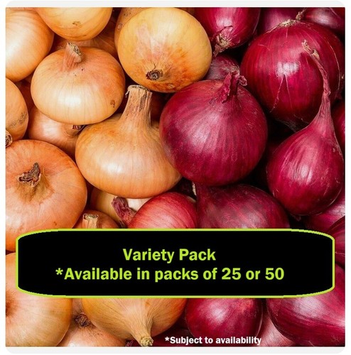 Onion sets x50 variety pack - x50,