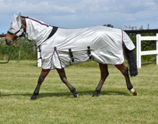 Fly rug mesh - rug,