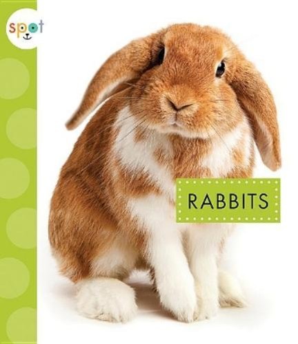 Mari schuh rabbits - c,