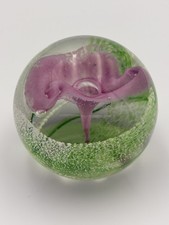Caithiss Scotland Calypso Pink
