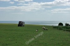 Photo 6x4 A sheep-related