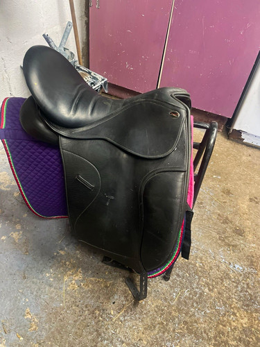 Optimus dressage - optimus,