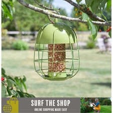 Acorn Squirrel Proof Bird