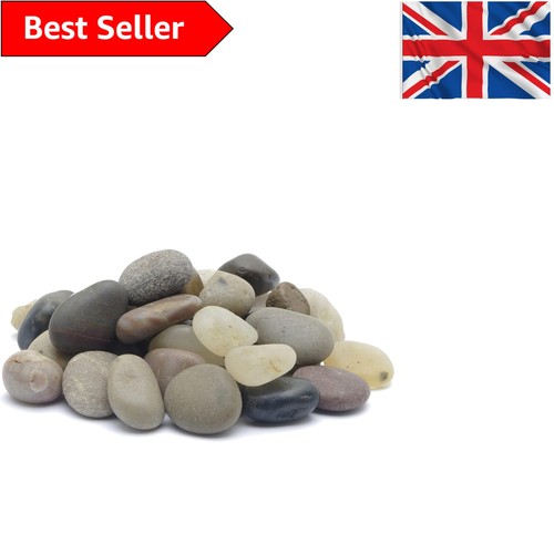 Elegant 2kg aquarium - 2kg,