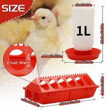 Chicken Poultry Feeder Drinker
