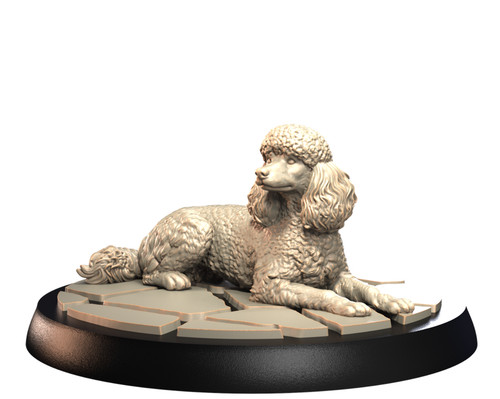 Dogs2 poodle 1 - dogs2,